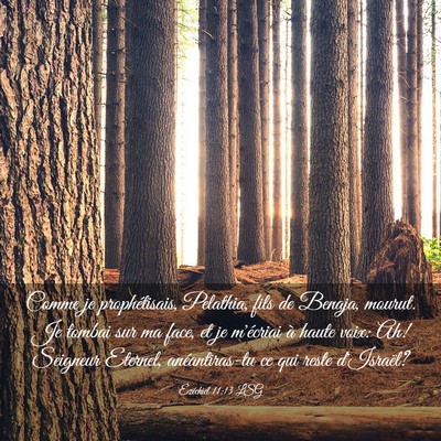 Picture 03 - Ézéchiel 11:13 LSG - Comme je prophétisais, Pelathia, fils de Benaja, - Bible Verse Picture