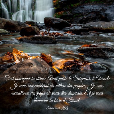 Picture 03 - Ézéchiel 11:17 LSG - C'est pourquoi tu diras: Ainsi parle le Seigneur, - Bible Verse Picture