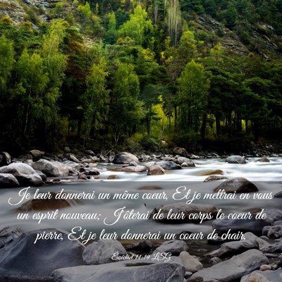 Picture 03 - Ézéchiel 11:19 LSG - Je leur donnerai un même coeur, Et je mettrai en - Bible Verse Picture