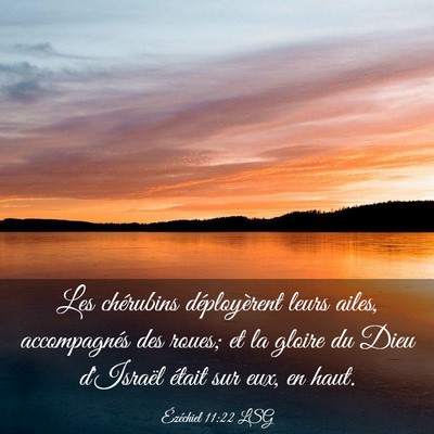 Picture 03 - Ézéchiel 11:22 LSG - Les chérubins déployèrent leurs ailes, - Bible Verse Picture