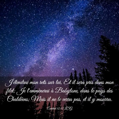 Picture 03 - Ézéchiel 12:13 LSG - J'étendrai mon rets sur lui, Et il sera pris - Bible Verse Picture