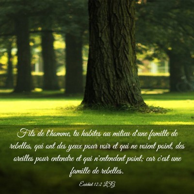 Picture 03 - Ézéchiel 12:2 LSG - Fils de l'homme, tu habites au milieu d'une - Bible Verse Picture