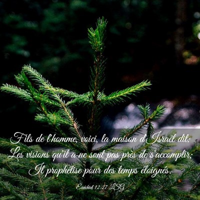 Picture 03 - Ézéchiel 12:27 LSG - Fils de l'homme, voici, la maison d'Israël dit: - Bible Verse Picture