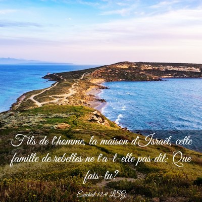 Picture 03 - Ézéchiel 12:9 LSG - Fils de l'homme, la maison d'Israël, cette - Bible Verse Picture