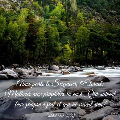 Picture 03 - Ézéchiel 13:3 LSG - Ainsi parle le Seigneur, l'Eternel: Malheur aux - Bible Verse Picture