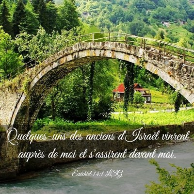 Picture 03 - Ézéchiel 14:1 LSG - Quelques-uns des anciens d'Israël vinrent - Bible Verse Picture