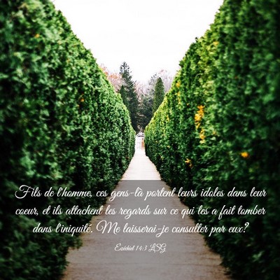 Picture 03 - Ézéchiel 14:3 LSG - Fils de l'homme, ces gens-là portent leurs - Bible Verse Picture