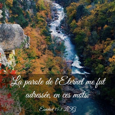 Picture 03 - Ézéchiel 15:1 LSG - La parole de l'Eternel me fut adressée, en ces - Bible Verse Picture