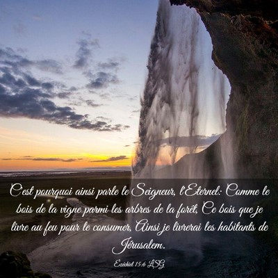 Picture 03 - Ézéchiel 15:6 LSG - C'est pourquoi ainsi parle le Seigneur, - Bible Verse Picture