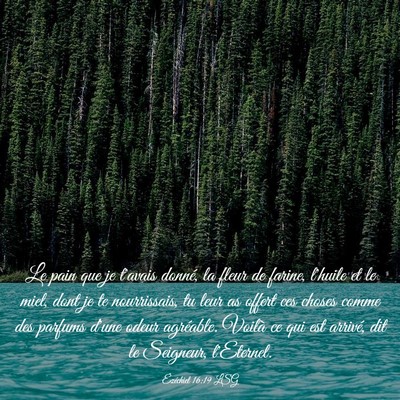 Picture 03 - Ézéchiel 16:19 LSG - Le pain que je t'avais donné, la fleur de - Bible Verse Picture