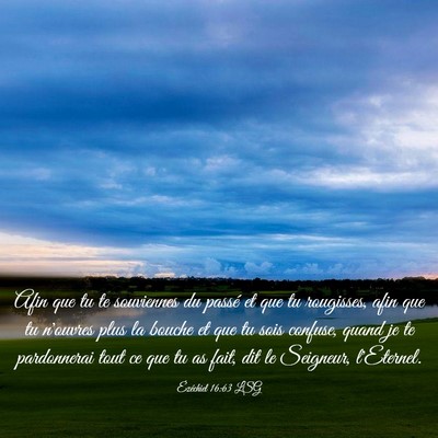 Picture 03 - Ézéchiel 16:63 LSG - Afin que tu te souviennes du passé et que tu - Bible Verse Picture