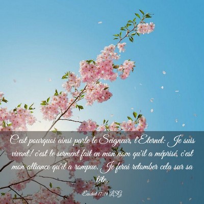 Picture 03 - Ézéchiel 17:19 LSG - C'est pourquoi ainsi parle le Seigneur, - Bible Verse Picture