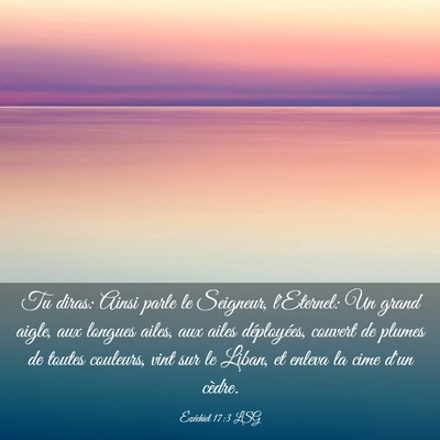 Picture 03 - Ézéchiel 17:3 LSG - Tu diras: Ainsi parle le Seigneur, l'Eternel: Un - Bible Verse Picture