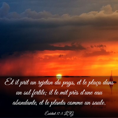Picture 03 - Ézéchiel 17:5 LSG - Et il prit un rejeton du pays, et le plaça dans - Bible Verse Picture