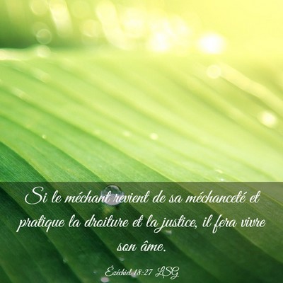 Picture 03 - Ézéchiel 18:27 LSG - Si le méchant revient de sa méchanceté et - Bible Verse Picture