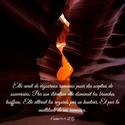Picture 03 - Ézéchiel 19:11 LSG - Elle avait de vigoureux rameaux pour des sceptres - Bible Verse Picture