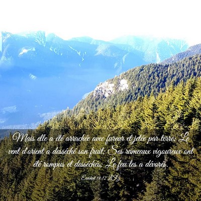 Picture 03 - Ézéchiel 19:12 LSG - Mais elle a été arrachée avec fureur et jetée - Bible Verse Picture