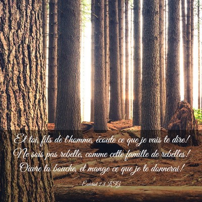 Picture 03 - Ézéchiel 2:8 LSG - Et toi, fils de l'homme, écoute ce que je vais - Bible Verse Picture