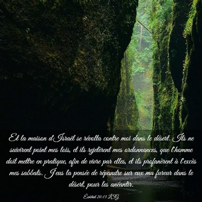 Picture 03 - Ézéchiel 20:13 LSG - Et la maison d'Israël se révolta contre moi - Bible Verse Picture