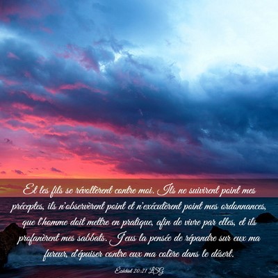 Picture 03 - Ézéchiel 20:21 LSG - Et les fils se révoltèrent contre moi. Ils ne - Bible Verse Picture