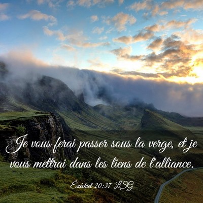 Picture 03 - Ézéchiel 20:37 LSG - Je vous ferai passer sous la verge, et je vous - Bible Verse Picture