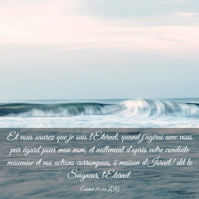 Picture 03 - Ézéchiel 20:44 LSG - Et vous saurez que je suis l'Eternel, quand - Bible Verse Picture