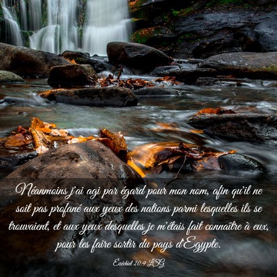 Picture 03 - Ézéchiel 20:9 LSG - Néanmoins j'ai agi par égard pour mon nom, afin - Bible Verse Picture