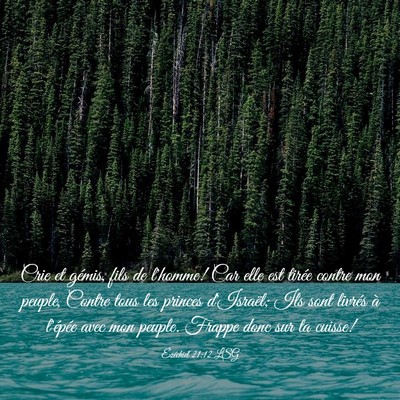 Picture 03 - Ézéchiel 21:12 LSG - Crie et gémis, fils de l'homme! Car elle est - Bible Verse Picture