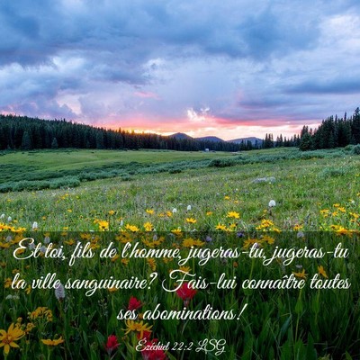 Picture 03 - Ézéchiel 22:2 LSG - Et toi, fils de l'homme, jugeras-tu, jugeras-tu - Bible Verse Picture