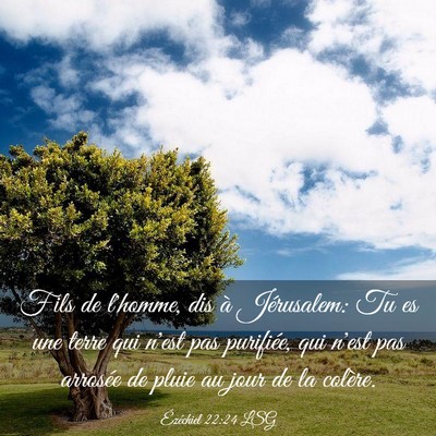 Picture 03 - Ézéchiel 22:24 LSG - Fils de l'homme, dis à Jérusalem: Tu es une - Bible Verse Picture