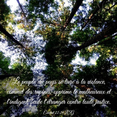 Picture 03 - Ézéchiel 22:29 LSG - Le peuple du pays se livre à la violence, commet - Bible Verse Picture