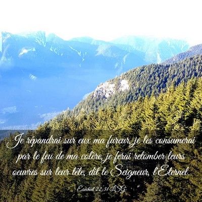 Picture 03 - Ézéchiel 22:31 LSG - Je répandrai sur eux ma fureur, je les - Bible Verse Picture