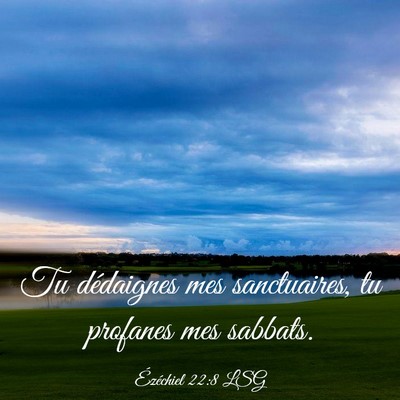 Picture 03 - Ézéchiel 22:8 LSG - Tu dédaignes mes sanctuaires, tu profanes mes - Bible Verse Picture