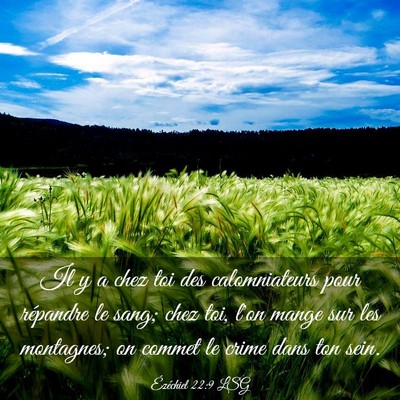 Picture 03 - Ézéchiel 22:9 LSG - Il y a chez toi des calomniateurs pour répandre - Bible Verse Picture