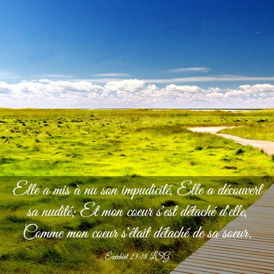 Picture 03 - Ézéchiel 23:18 LSG - Elle a mis à nu son impudicité, Elle a - Bible Verse Picture