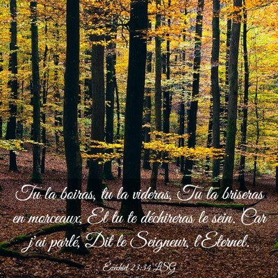 Picture 03 - Ézéchiel 23:34 LSG - Tu la boiras, tu la videras, Tu la briseras en - Bible Verse Picture