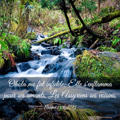 Picture 03 - Ézéchiel 23:5 LSG - Ohola me fut infidèle; Elle s'enflamma pour ses - Bible Verse Picture