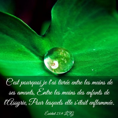 Picture 03 - Ézéchiel 23:9 LSG - C'est pourquoi je l'ai livrée entre les mains de - Bible Verse Picture