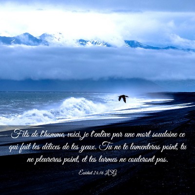 Picture 03 - Ézéchiel 24:16 LSG - Fils de l'homme, voici, je t'enlève par une mort - Bible Verse Picture