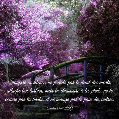 Picture 03 - Ézéchiel 24:17 LSG - Soupire en silence, ne prends pas le deuil des - Bible Verse Picture