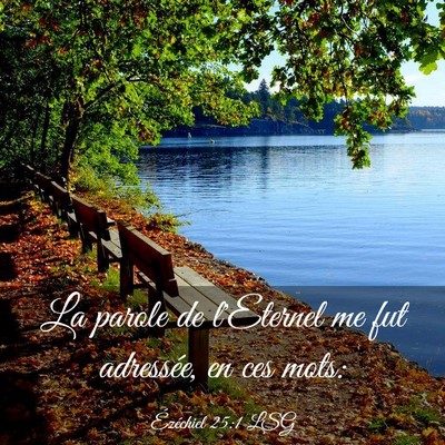 Picture 03 - Ézéchiel 25:1 LSG - La parole de l'Eternel me fut adressée, en ces - Bible Verse Picture