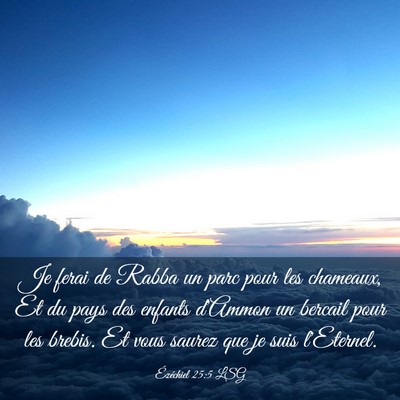 Picture 03 - Ézéchiel 25:5 LSG - Je ferai de Rabba un parc pour les chameaux, Et - Bible Verse Picture