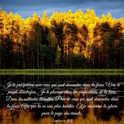 Picture 03 - Ézéchiel 26:20 LSG - Je te précipiterai avec ceux qui sont descendus - Bible Verse Picture
