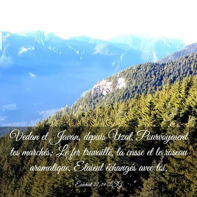 Picture 03 - Ézéchiel 27:19 LSG - Vedan et Javan, depuis Uzal, Pourvoyaient tes - Bible Verse Picture