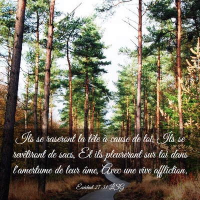 Picture 03 - Ézéchiel 27:31 LSG - Ils se raseront la tête à cause de toi, Ils se - Bible Verse Picture