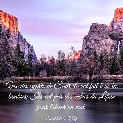 Picture 03 - Ézéchiel 27:5 LSG - Avec des cyprès de Senir ils ont fait tous tes - Bible Verse Picture