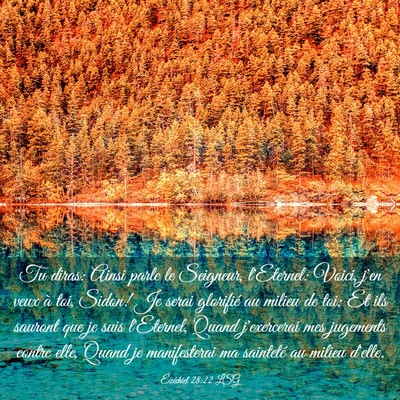 Picture 03 - Ézéchiel 28:22 LSG - Tu diras: Ainsi parle le Seigneur, l'Eternel: - Bible Verse Picture