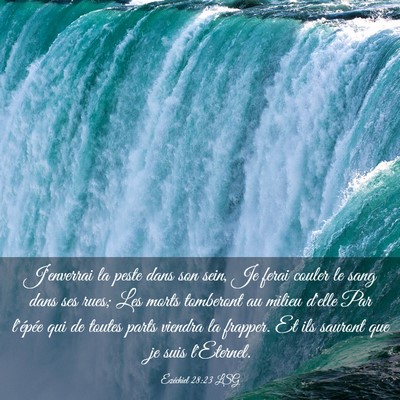 Picture 03 - Ézéchiel 28:23 LSG - J'enverrai la peste dans son sein, Je ferai - Bible Verse Picture