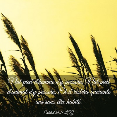 Picture 03 - Ézéchiel 29:11 LSG - Nul pied d'homme n'y passera, Nul pied d'animal - Bible Verse Picture