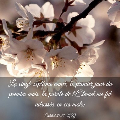 Picture 03 - Ézéchiel 29:17 LSG - La vingt-septième année, le premier jour du - Bible Verse Picture
